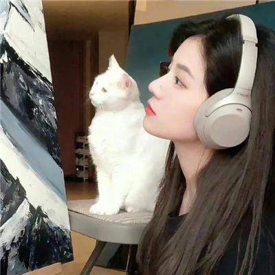 偷龙转猫