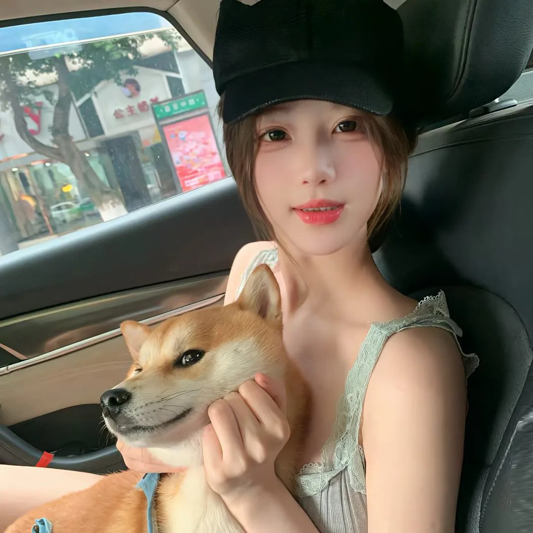 孤胆义侠